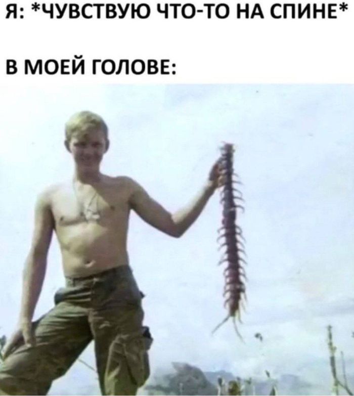 картинка 38dd5e763e tolko chto iz seti vash novyj zarjad horoshego nastroenija 10