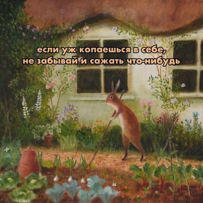 картинка 3b5d34d064 00