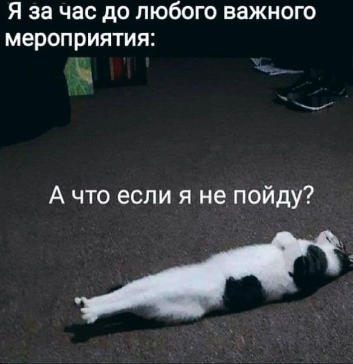 картинка 3bcef449bb novye memy i kommenty iz socsetej vse samoe smeshnoe sobrano dlja vas 11