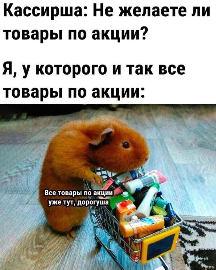 картинка 3db8ee43bc samyj smeshnoj jumor dlja vashego nastroenija 3