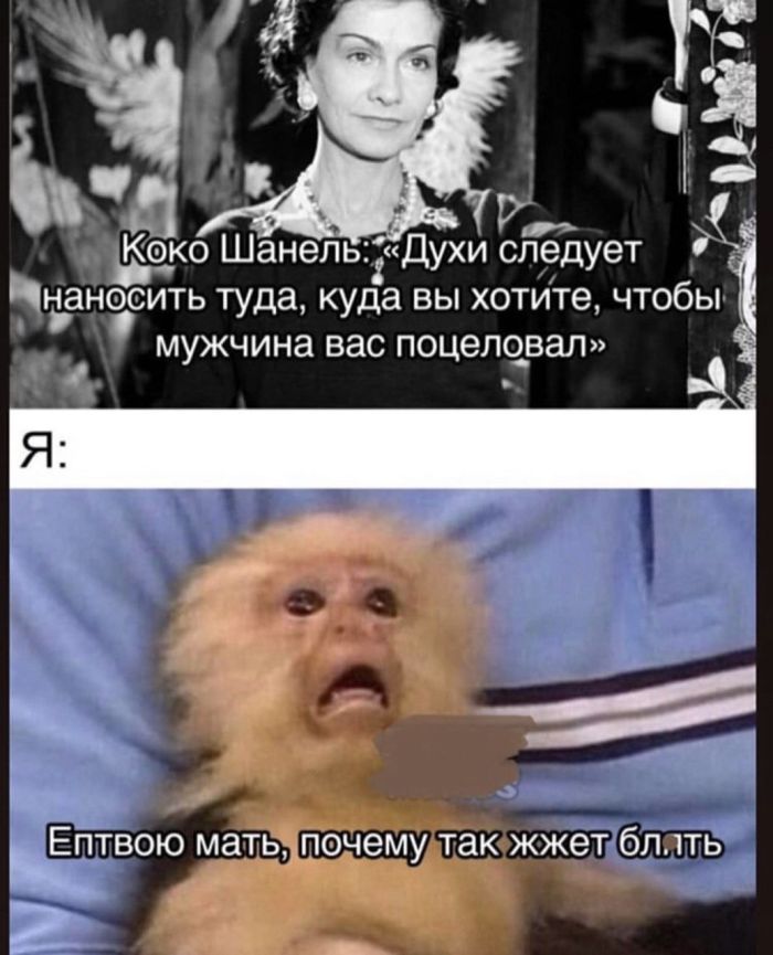 картинка 3e031b4a06 0000