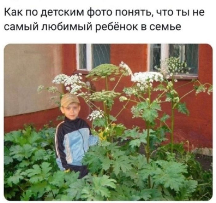 картинка 3eeaa702d6 chernyj jumor v memah dlja teh kto ne boitsja zagljanut za gran 11