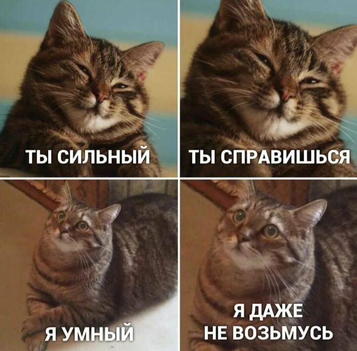 картинка 42586fc9d2 chernyj jumor dlja teh kto ne boitsja zagljanut za gran 9