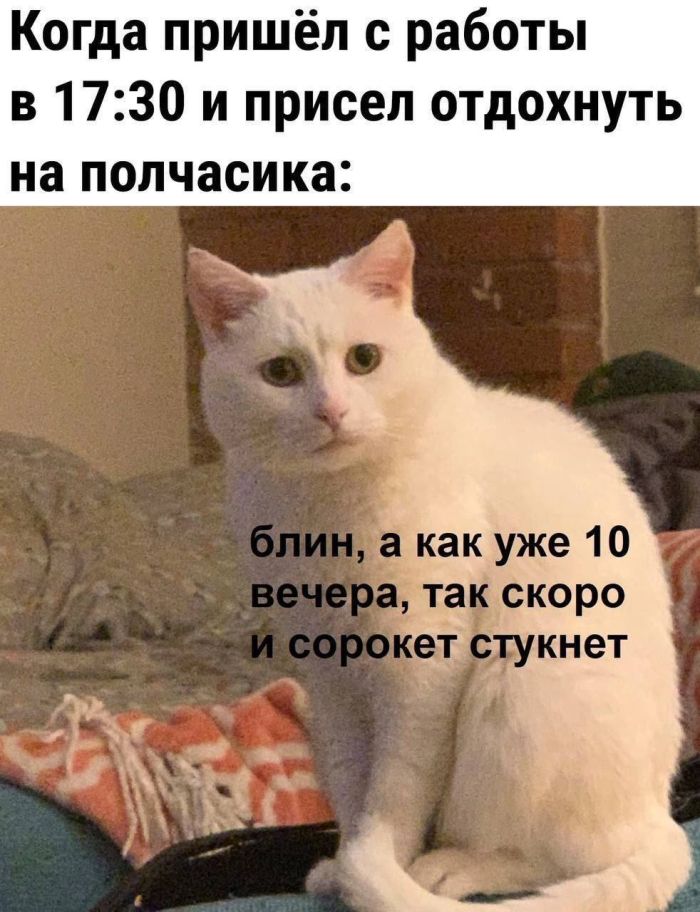 картинка 42ee46bff7 budni ne povod grustit podborka pozitiva dlja ljubogo dnja nedeli 0