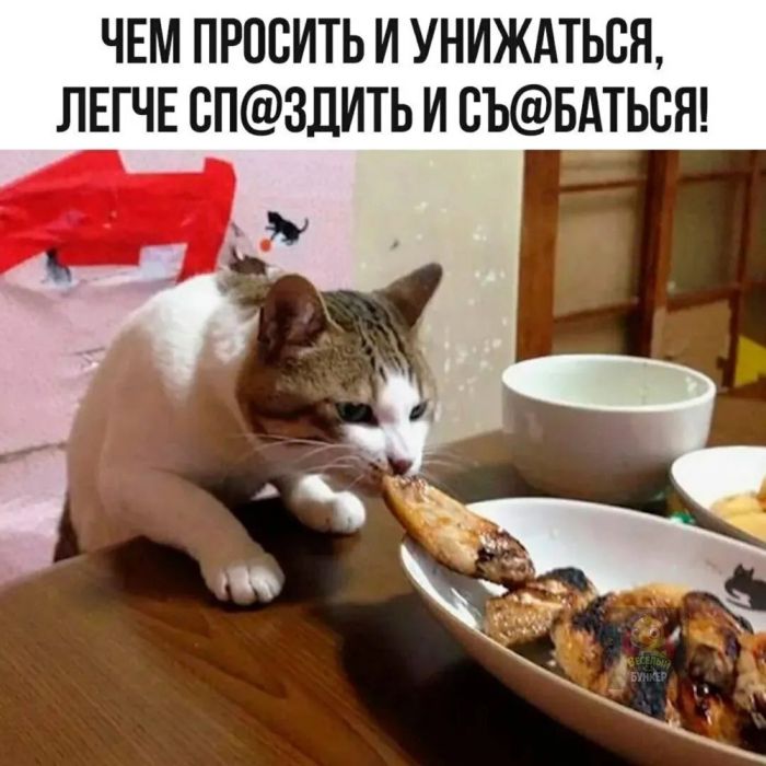 картинка 46007fd42e zagljanite v nash novyj sbornik zdes samye poshlye i smeshnye memy 23