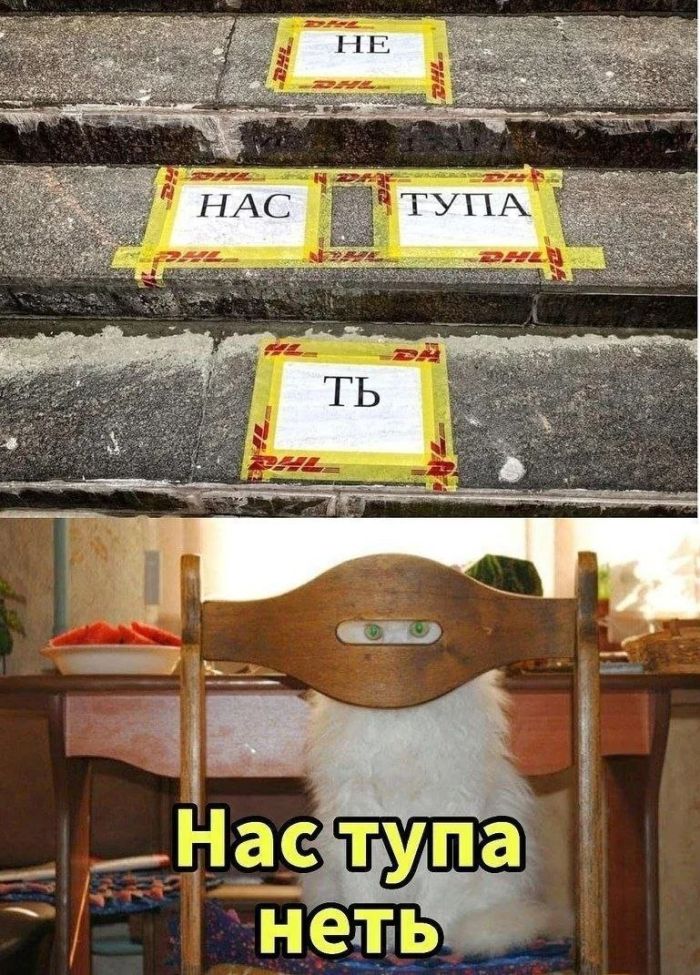 картинка 4b7b2c23fa samye novye shutki iz interneta 25