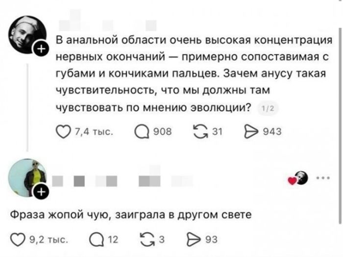 картинка 4cacffee7e ostroumnyj jumor bez granic dozvolennogo podborka smeshnyh shutok 14