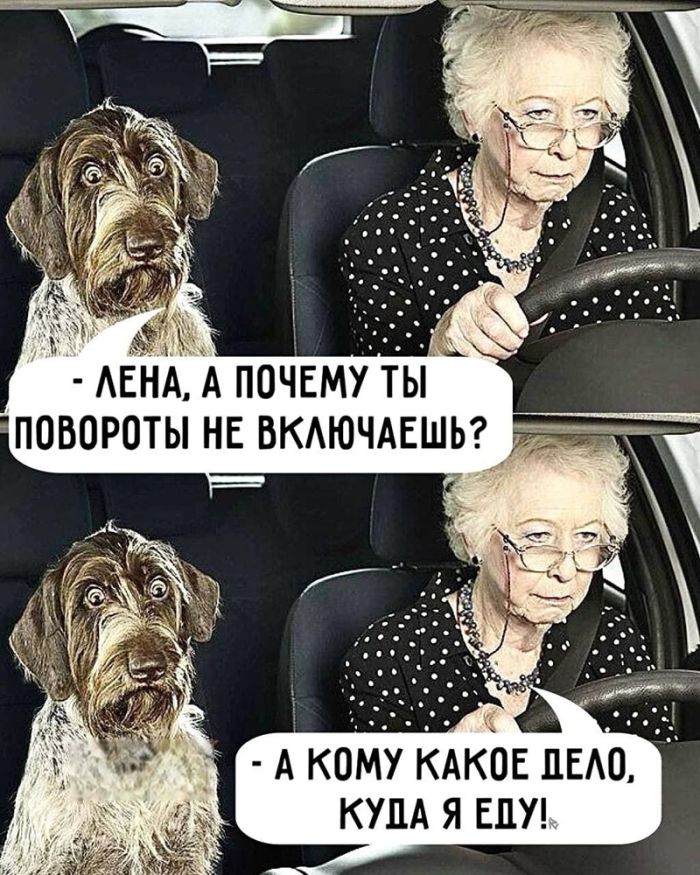 картинка 51a1aac5a4 ustali ot seroj rutiny hochetsja chego to derzkogo i smeshnogo togda vam tochno sjuda 14