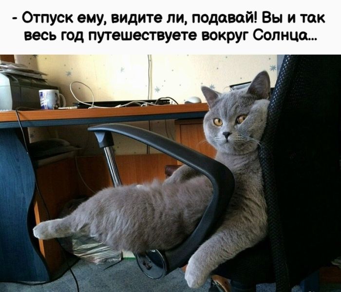 Готовьтесь к взрыву смеха! Свежие мемы на выходные которые, настроение, минут, выходные, подписями, стоит, другие, ситуацииФилософские, короткие, ёмкие, фразы, заставляют, одновременно, выходных, смеяться, задуматьсяПочему, посмотретьЭти, мемызаряжают, позитивом, смеха