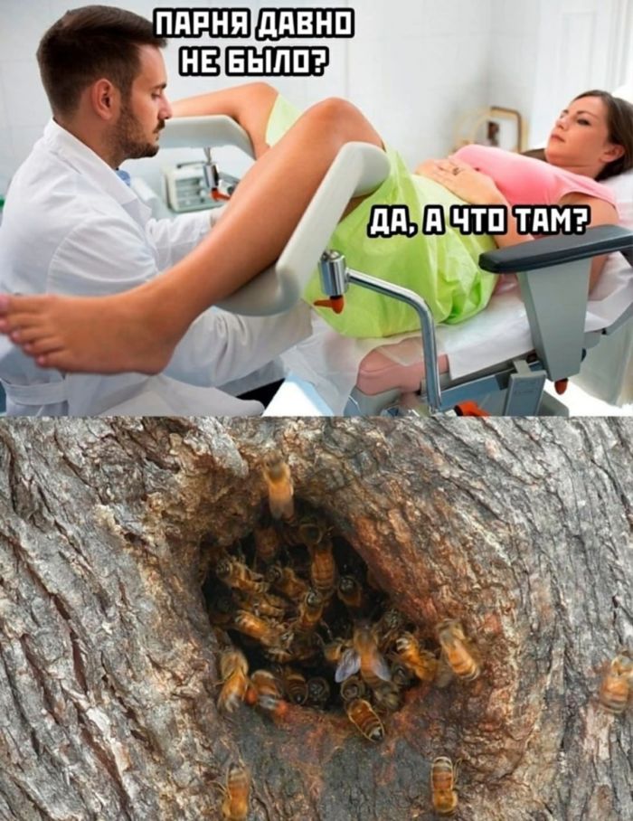 картинка 5264f12554 chernyj jumor v memah dlja teh kto ne boitsja zagljanut za gran 6
