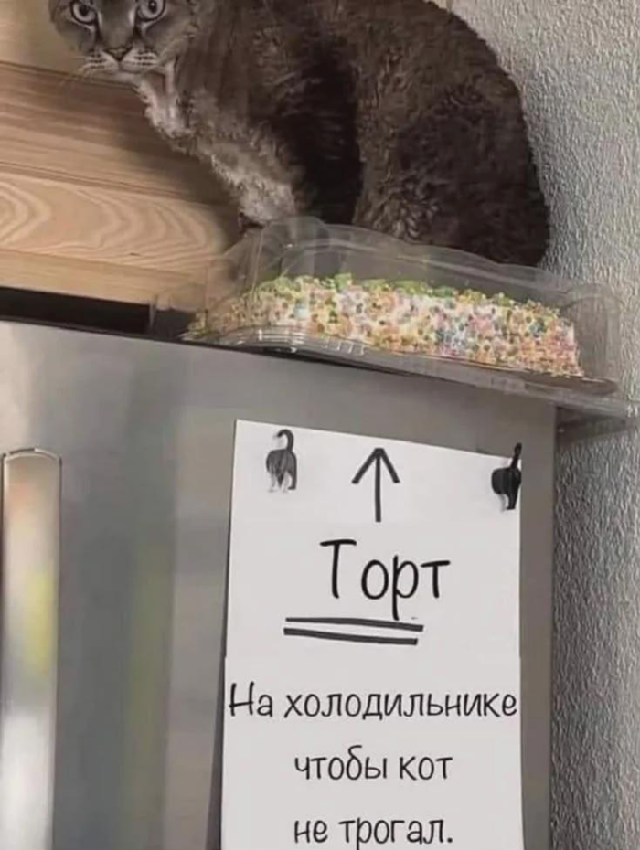 Ура, выходные! 🎉 Готовьтесь смеяться до слез!