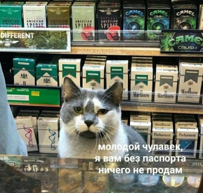 картинка 576c527fb0 dlja cenitelej chernogo jumora porcija memov s pikantnoj ostrotoj 18