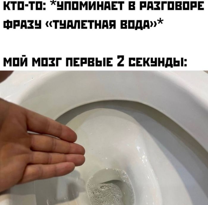 картинка 58677d0bd4 0000