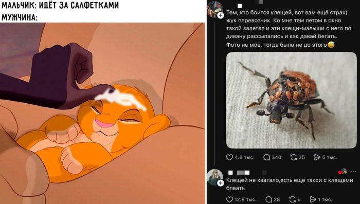 Новые мемы и комменты из соцсетей – всё самое смешное собрано для вас!