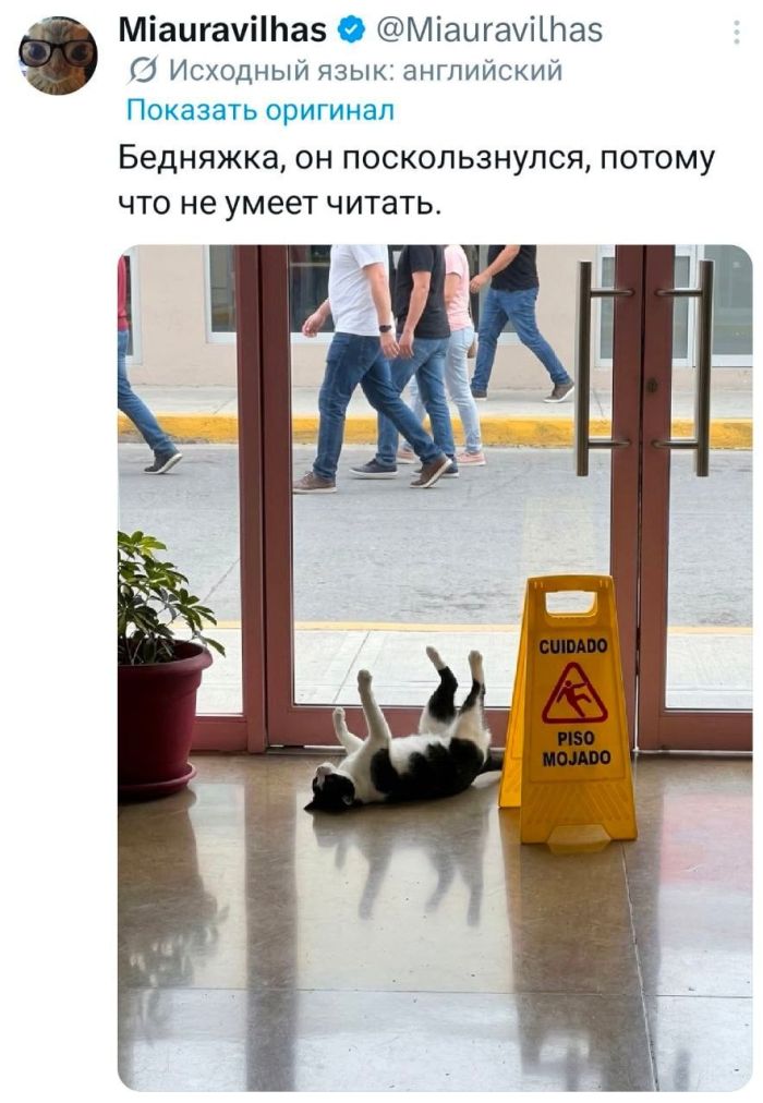 картинка 5da325c3ec samyj smeshnoj jumor dlja vashego nastroenija 5