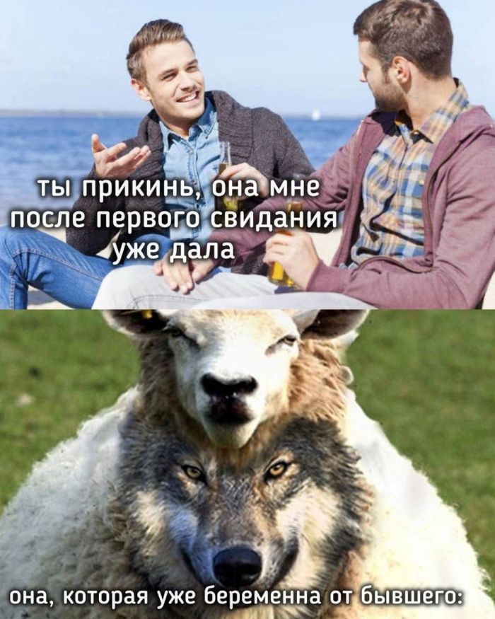картинка 5eb744f021 smelye shutki na grani podborka dlja teh kto cenit jumor bez granic 3