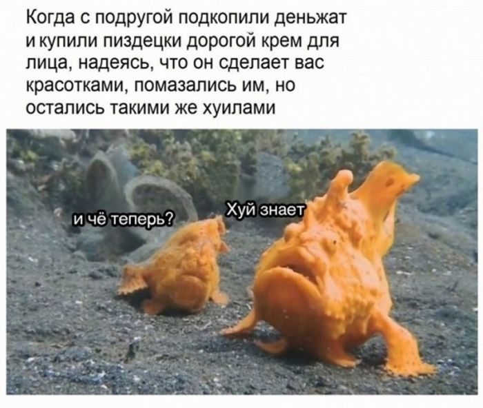 картинка 612411a73e chernyj jumor v memah dlja teh kto ne boitsja zagljanut za gran 7