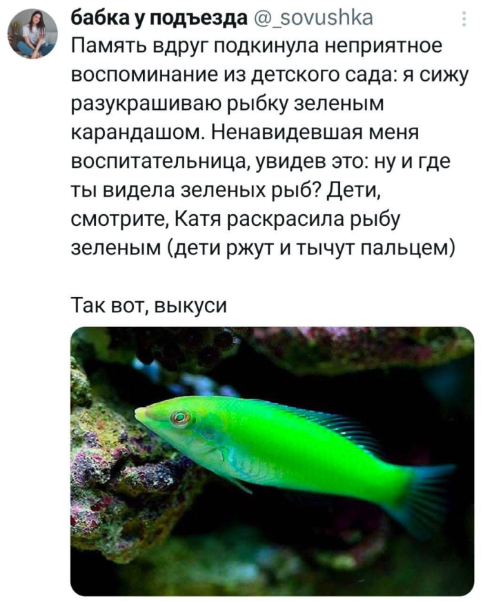картинка 679d4efa60 novye memy i kommenty iz socsetej vse samoe smeshnoe sobrano dlja vas 6