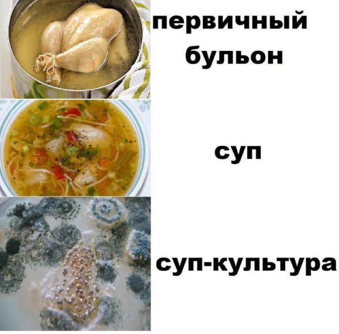 картинка 69bf98c478 novye memy i kommenty iz socsetej vse samoe smeshnoe sobrano dlja vas 5