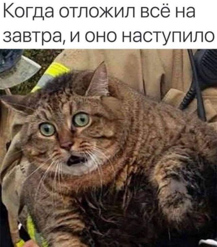 картинка 69f12fef48 pjatnica vremja dlja ulybok i pozitiva 6