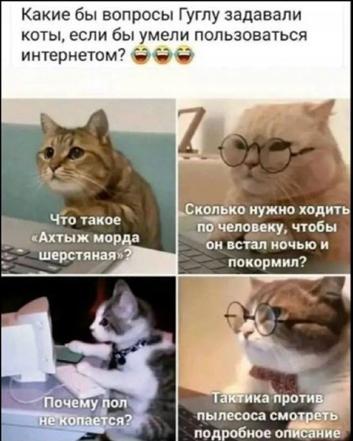 Готовьтесь к взрыву смеха! Свежие мемы на выходные которые, настроение, минут, выходные, подписями, стоит, другие, ситуацииФилософские, короткие, ёмкие, фразы, заставляют, одновременно, выходных, смеяться, задуматьсяПочему, посмотретьЭти, мемызаряжают, позитивом, смеха