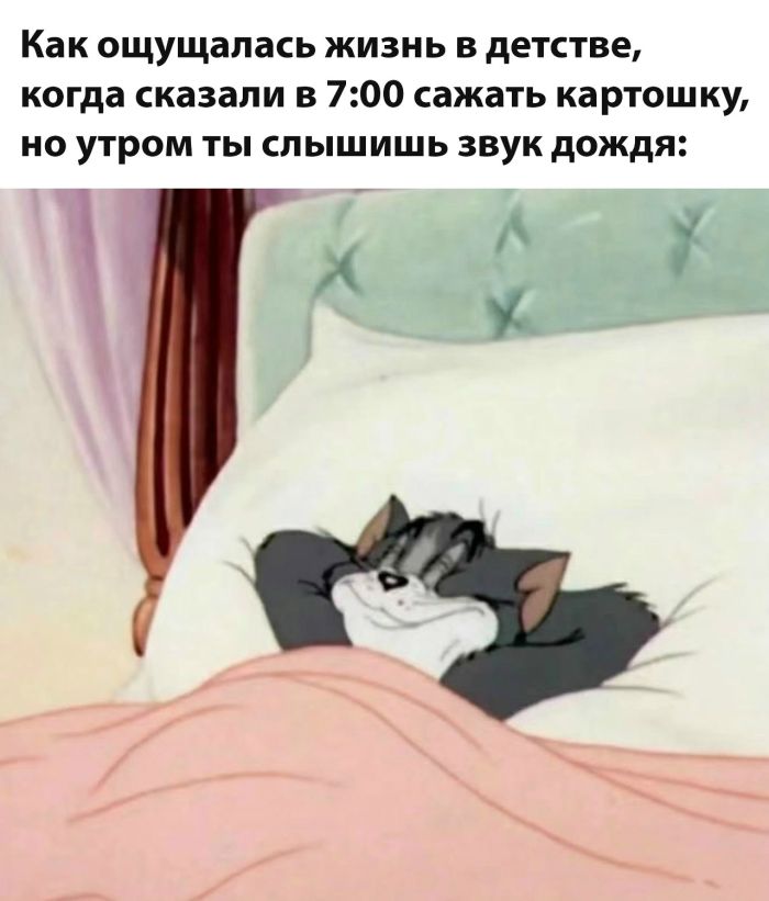 картинка 71d34f726b tolko chto iz seti vash novyj zarjad horoshego nastroenija 1