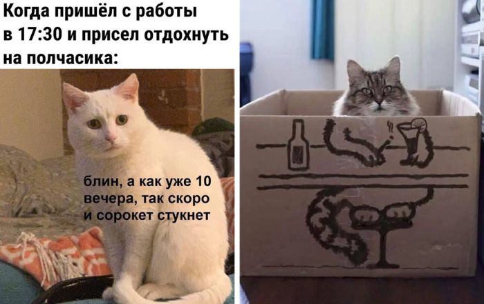 Будни — не повод грустить: подборка позитива для любого дня недели!