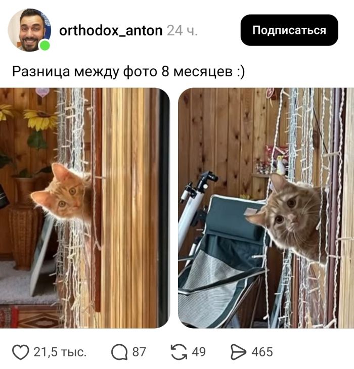 картинка 7c8de52ddc tolko chto iz seti vash novyj zarjad horoshego nastroenija 14