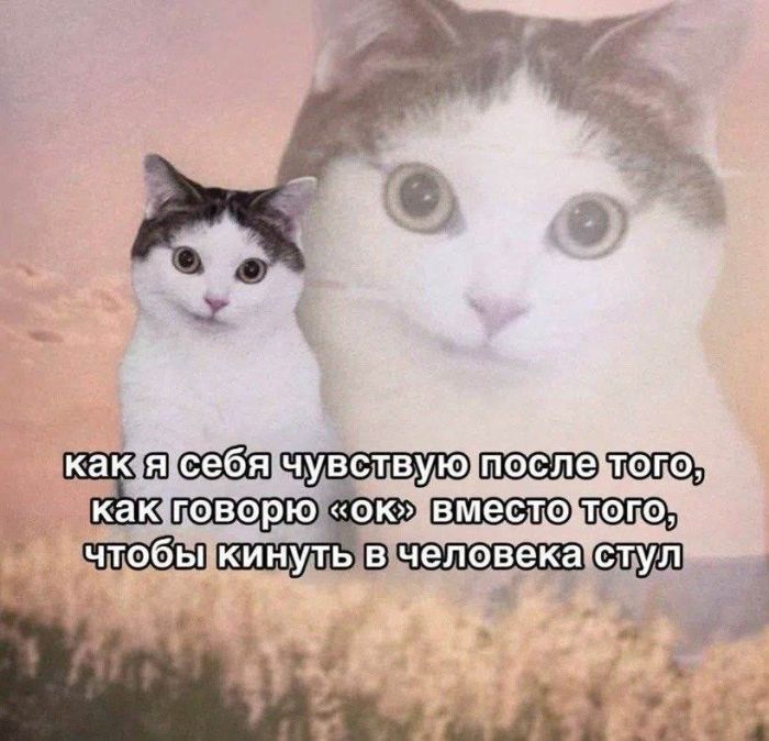 картинка 7cba085380 ulybnites podborka samyh smeshnyh memov i prikolnyh kommentariev iz socsetej 1