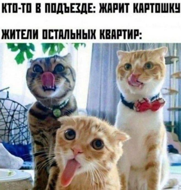 картинка 7dc13b1d8e chernyj jumor dlja nastroenija 3