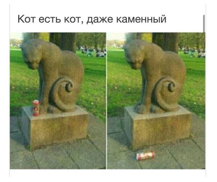 картинка 7e89b16133 20977350