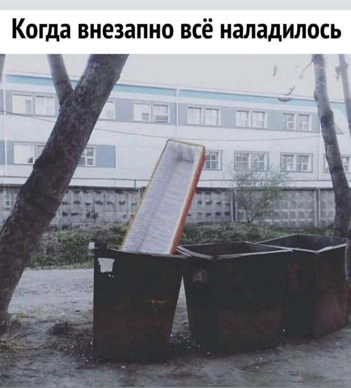 картинка 8285002c1f ura malenkaja pjatnica vremja dlja porcii svezhih shutok i pozitiva 14