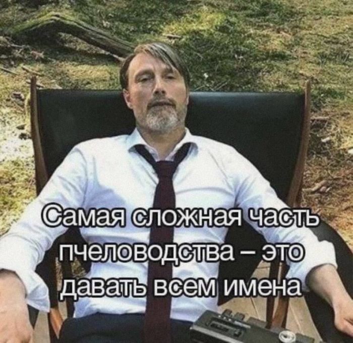 картинка 8398c14b72 00000000000