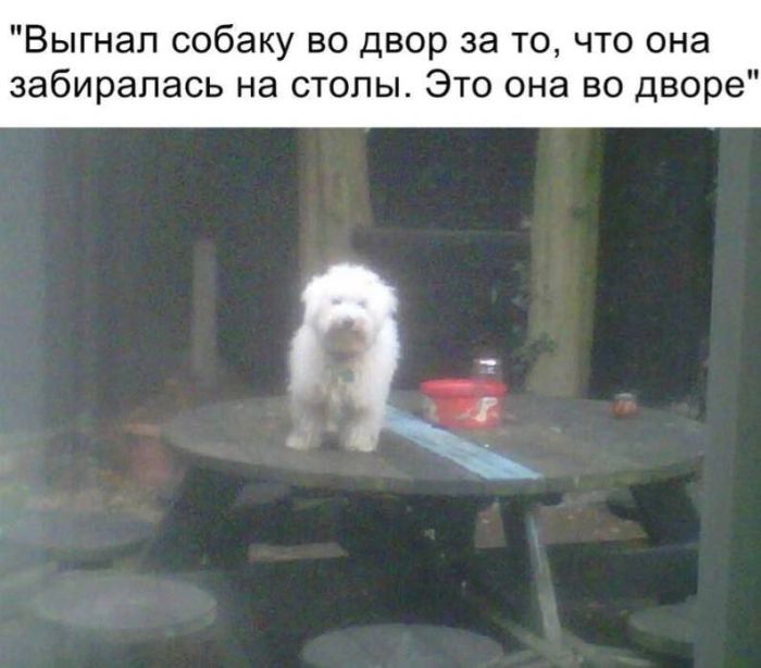 Выходные — время для смеха! выходные, смеха, настроение, сохраняйте, смейтесь, листайте, Тогда, позитива, кофеГотовы, Ловите, лучше, взбодрить, могут, минут, энергии, заряд, мгновенный, отправляйте, друзьям, думают