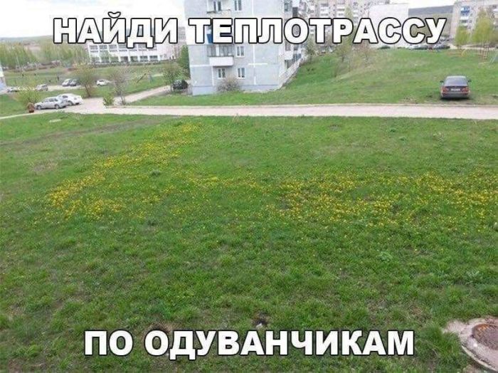 картинка 8c7a70776b pjatnica nastupila vstrechaem vyhodnye s ulybkoj i porciej jumora 13