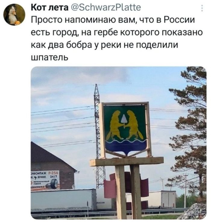 картинка 8dca766987 s perchinkoj podborka chernogo jumora iz socsetej dlja iskushennyh cenitelej 15