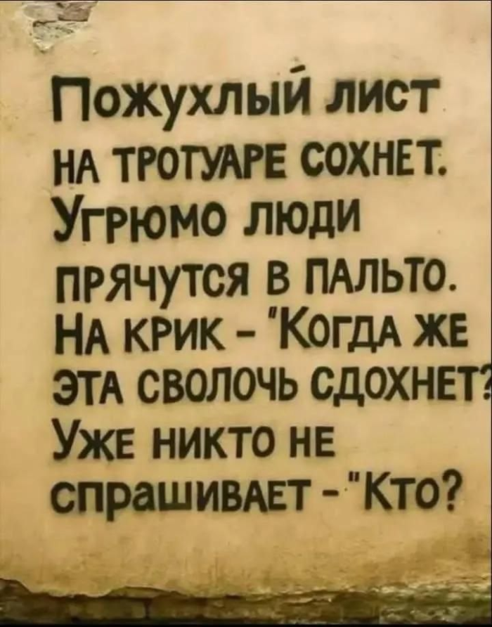 картинка 8e1d9bff60 1779722062