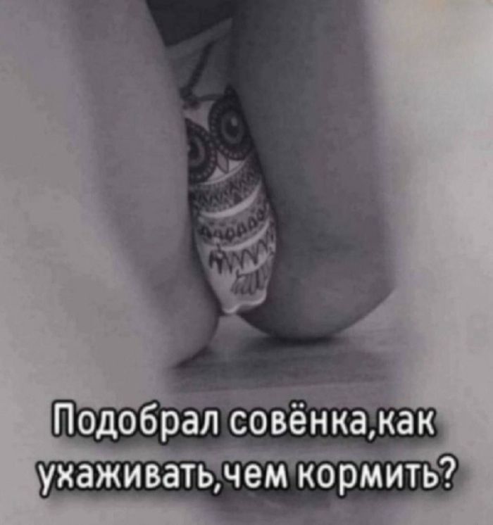 картинка 93de48a567 ustali ot seroj rutiny hochetsja chego to derzkogo i smeshnogo togda vam tochno sjuda 7