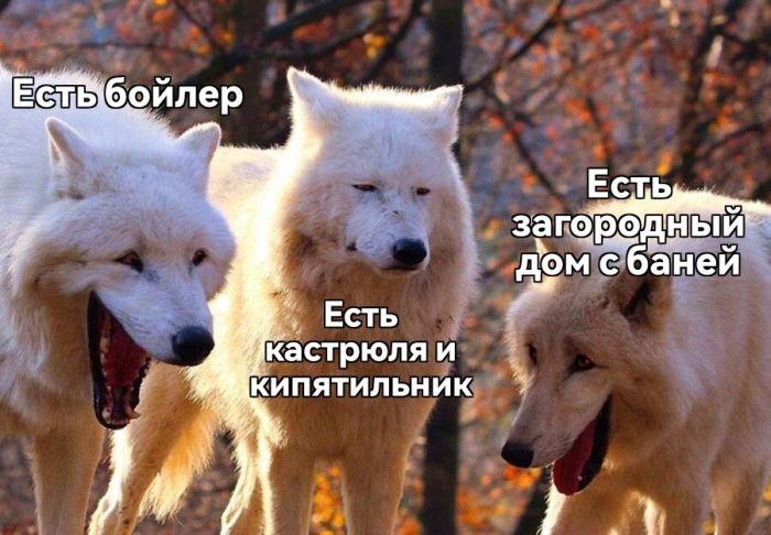 картинка 9453bbb563 00000