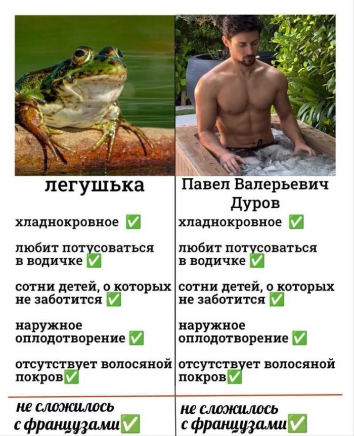 картинка 955acf554c ulybnites shire bolshaja podborka svezhego jumora dlja vashego otlichnogo nastroenija 0