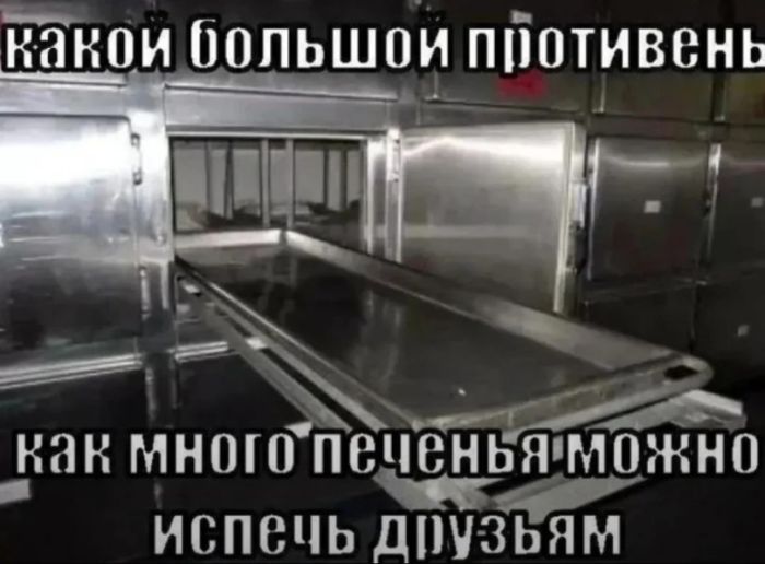 картинка 9d2a15e3b1 20977629