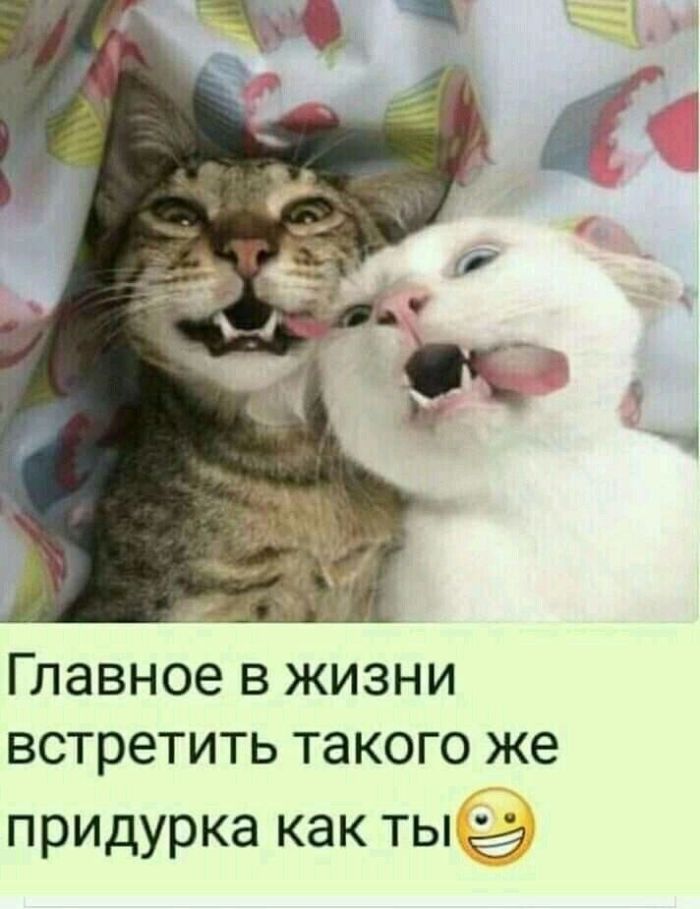 картинка a05c1c87e7 000000000000000