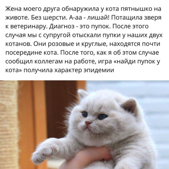 картинка a2b9df9c5b 00000