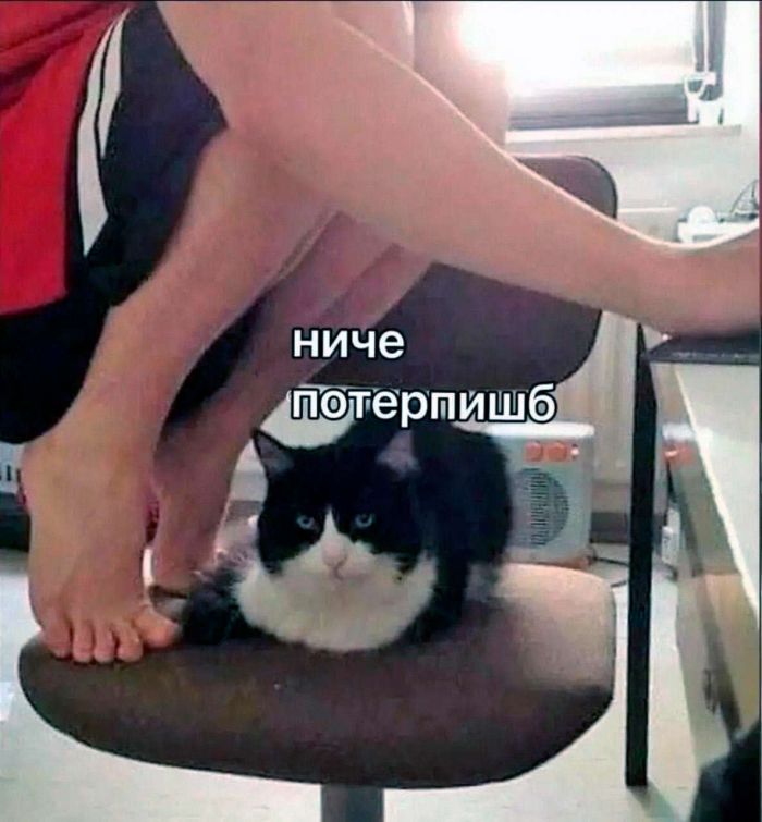картинка a3ad2d868e samyj smeshnoj jumor dlja vashego nastroenija 10