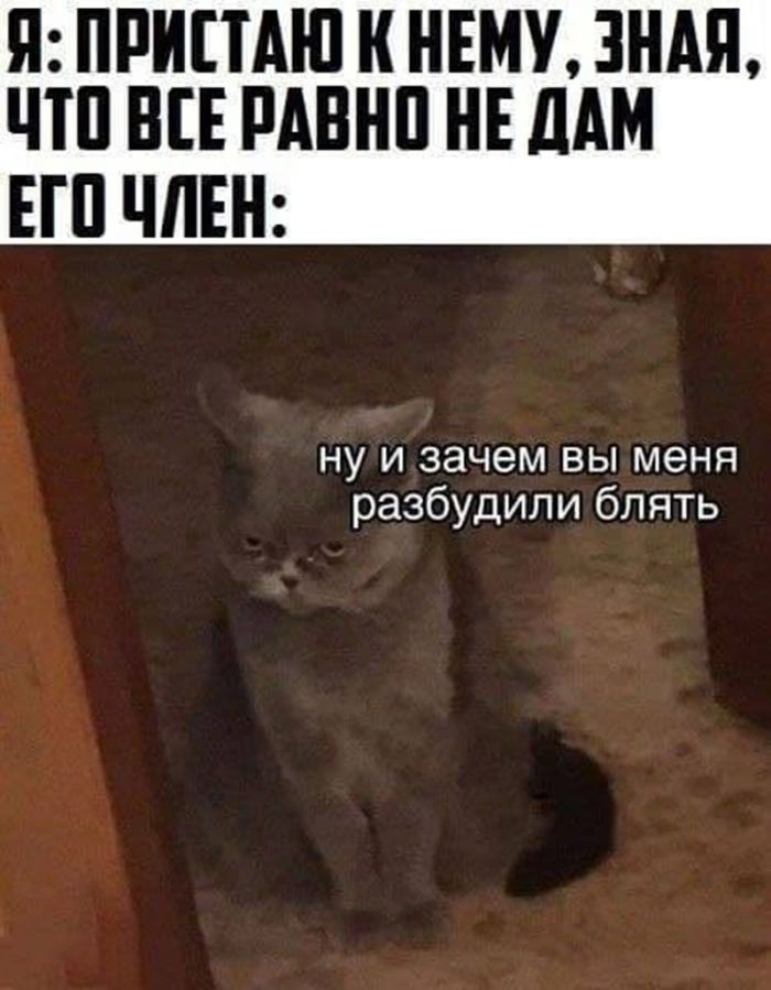 картинка a520c0aaa7 chernyj jumor dlja teh kto ne boitsja smejatsja nad tabu 19