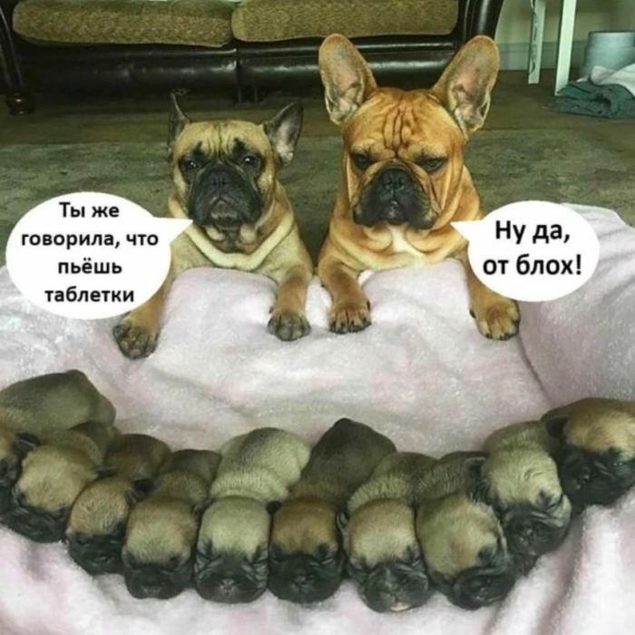 картинка a6be21e632 0000