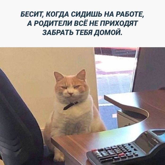 картинка ab691e3bde bolshoj sbornik samyh svezhih i smeshnyh prikolov k malenkoj pjatnice 7