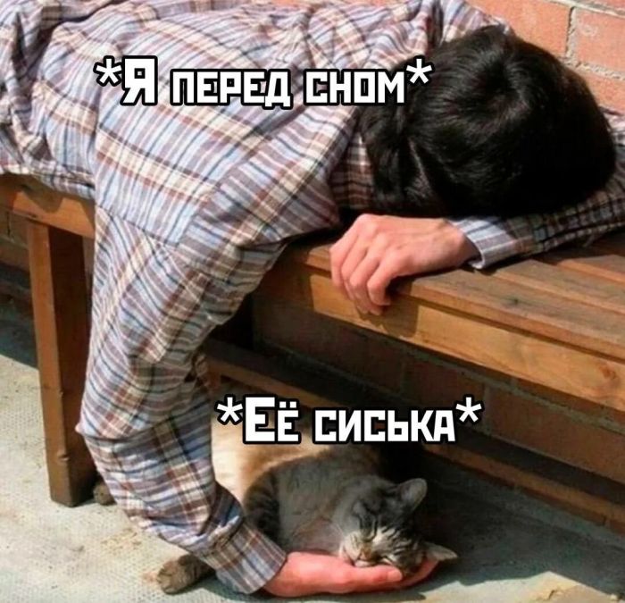 картинка aca1ddf59c bolshoj sbornik chernogo jumora amoralnye prikoly i poshlye memy 4
