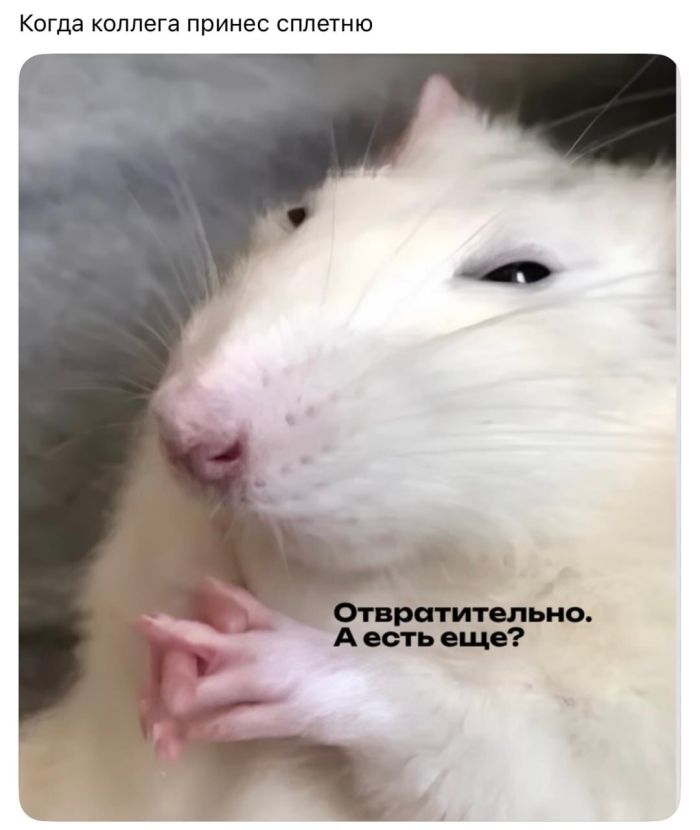 картинка ad391e9e8f 00