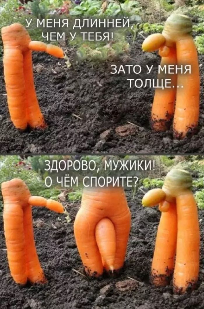 картинка b56e137e69 ustali ot seroj rutiny hochetsja chego to derzkogo i smeshnogo togda vam tochno sjuda 17